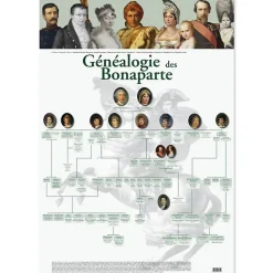 Outlet Affiche Généalogie des Bonaparte Affiches Et Reproductions