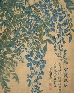 Album de douze feuilles : fleurs (affiches d'art encadrées) Affiches D'Art Encadrées|Toiles Sans Cadre