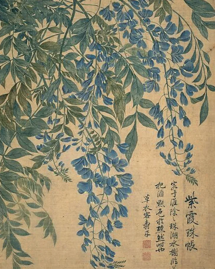 Album de douze feuilles : fleurs (affiches d'art encadrées) Affiches D'Art Encadrées|Toiles Sans Cadre
