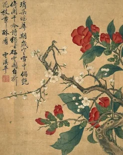 Hot Album de douze feuilles : fleurs (toiles sans cadre) Toiles Sans Cadre|Toiles Encadrées