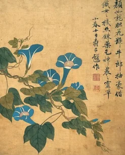 Sale Album de douze feuilles : fleurs (toiles sans cadre) Toiles Sans Cadre|Toiles Sur Châssis