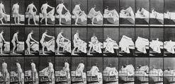 Best Animal Locomotion : femme nue se coucha (panneaux aluminium) Panneaux Aluminium|Toiles Encadrées