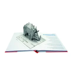 Best 5 animaux d'artistes Livres Jeunesse
