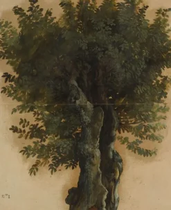 Arbres avec un tronc ouvert (panneaux aluminium)