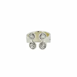 Bague du trésor de Rongères - Argent