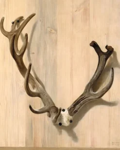 Bois d'un cerf attaqué à la Haute-Queue à Compiègne (toiles encadrées)