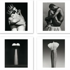 Online Boîte de 15 cartes & enveloppes - Robert Mapplethorpe Cartes Et Marques Pages