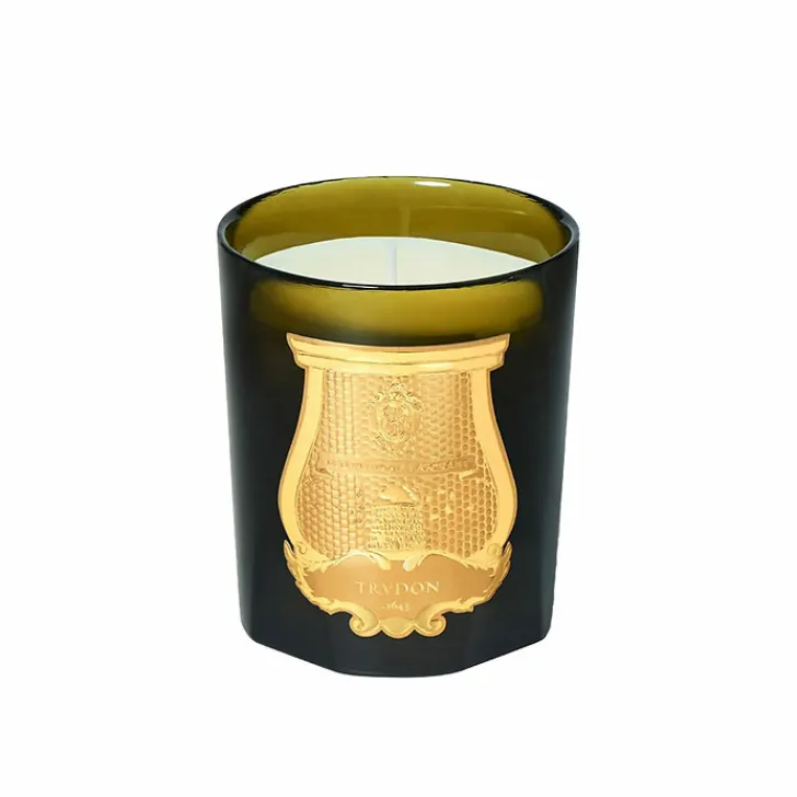 Hot Bougie Classique 270g Ernesto - Trudon Senteurs