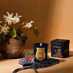 Bougie Classique 270g Ourika - Trudon