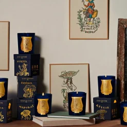 Bougie Classique 270g Salta - Trudon