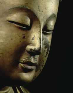 Buddha enseignant faisant le geste de la prédication (panneaux aluminium)
