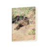 Online Cahier Bruno Liljefors - Le Chat Jeppe dormant au soleil du printemps, 1886 Cahiers Et Carnets
