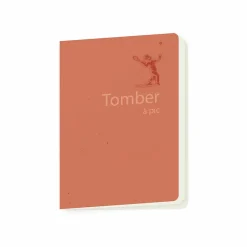 Cahier Château de Fontainebleau - Tomber à pic