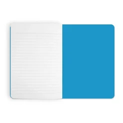 Cahier Âge du bronze Cahiers Et Carnets