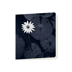 Online Cahier Michael Kenna - La fleur de lotus de Mamta, Viengkeo, Luang Prabang, Laos, 2015 Cahiers Et Carnets