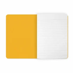 Online Cahier Pablo Picasso / Paul Smith - Célébration Picasso 1973-2023 Cahiers Et Carnets