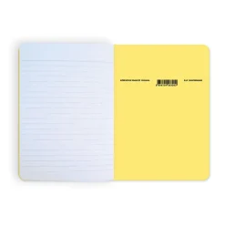 Cahier Picasso Iconophage Cahiers Et Carnets