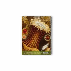 Cahier à spirale Philip Henry Gosse - Anémones de mer et corail Cahiers Et Carnets