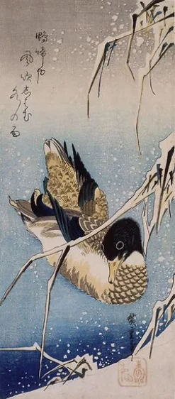 Discount Canard et roseaux sous la neige (toiles encadrées) Toiles Encadrées|Affiches D'Art Encadrées