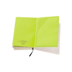Carnet A5 Niki de Saint Phalle - Dragon
