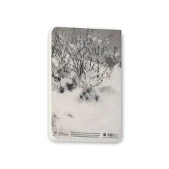 Carnet Bruno Liljefors - Paysage d'hiver aux bouvreuils pivoine, 1891