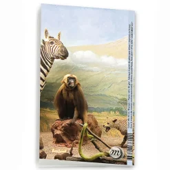 Carnet - Diorama du Kilimandjaro