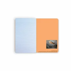 Carnet Louis Janmot - Le Poème de l'âme. L'Idéal, entre 1835 et 1855 Cahiers Et Carnets