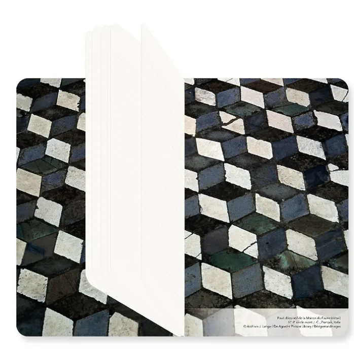Carnet Pompéi - Pavé décoratif de la Maison du Faune
