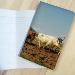 Carnet Rosa Bonheur - Labourage nivernais dit aussi Le Sombrage Cahiers Et Carnets