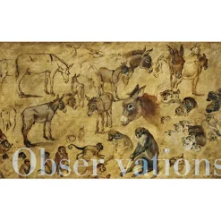 Catalogue d'exposition - Beauté Animale