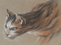 Chat projetant sa tête en avant (toiles sur châssis) Toiles Sur Châssis|Affiches D'Art