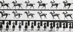 Online Cheval au galop (affiches d'art) Affiches D'Art|Toiles Sans Cadre