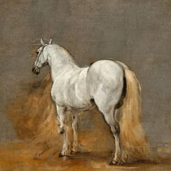 Cheval blanc. Etude (panneaux aluminium)