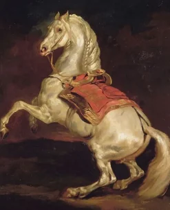 Cheval cabré dit Tamerlan (affiches d'art encadrées) Affiches D'Art Encadrées|Toiles Sans Cadre