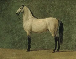 Cheval de Napoléon 1er "le Familier" (toiles encadrées) Toiles Encadrées|Toiles Sur Châssis