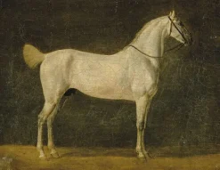Outlet Cheval de Napoléon "le Distingué" (toiles encadrées) Toiles Encadrées|Toiles Sur Châssis