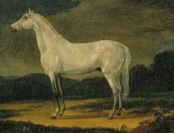 Sale Cheval de Napoléon "le Vizir" (panneaux aluminium) Panneaux Aluminium|Panneaux Acryliques