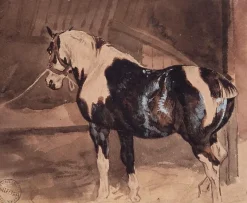 Cheval pie au repos à l'écurie (panneaux acryliques)