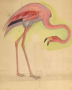 Hot Comptoir d'Escompte : escalier d'honneur : flamant rose (toiles sur châssis) Toiles Sur Châssis|Affiches D'Art