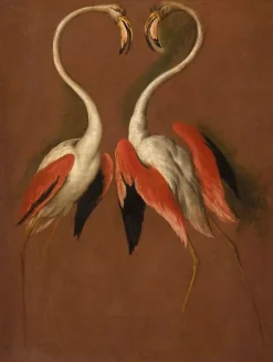 Deux flamants face à face (affiches d'art encadrées)