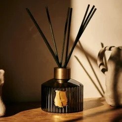 Diffuseur 350 ml Ernesto - Trudon