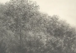 New Estampe Allant vers les roches noires - Bertrand Henry 2001 Créations Contemporaines
