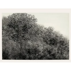 New Estampe Allant vers les roches noires - Bertrand Henry 2001 Créations Contemporaines
