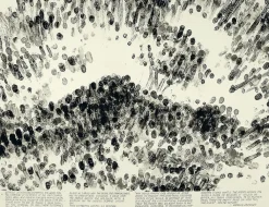 Discount Estampe Blind Time VI, (Temps aveugle VI) - Robert Morris Créations Contemporaines