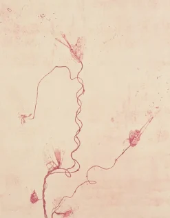 Estampe Celles qui disparaissent, Celles qui se créent (est) - Mireille Gros