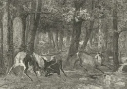 Estampe Combat de cerfs - Gustave Courbet