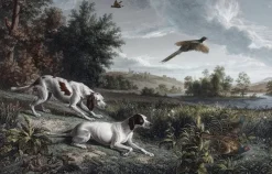 Estampe Diane et Blonde, chiennes de Louis XIV, chassant le faisan - François Desportes