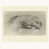 Sale Estampe Etude de main - Alphonse Alexandre Leroy Dessins