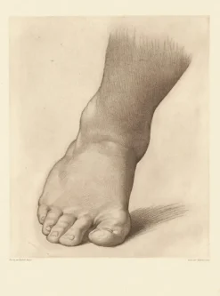 Discount Estampe Etude pour le pied droit du Saint Jean Baptiste dans le désert - Raphaël Dessins|Chefs D'Œuvre Des Musées