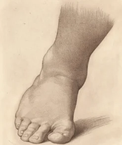 Discount Estampe Etude pour le pied droit du Saint Jean Baptiste dans le désert - Raphaël Dessins|Chefs D'Œuvre Des Musées
